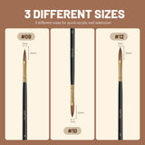 Aokitec 4PCS Acrylic Nail Brush Set - Sizes 8/10/12/14 for Acrylic Powder Application